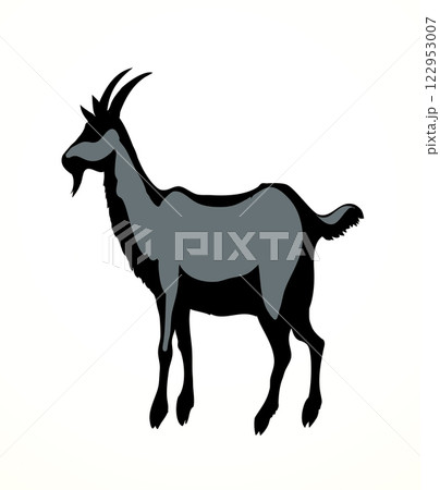 Big white goat. Vector animal 122953007