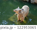 A brown bear with large claws stands in a river 122953065