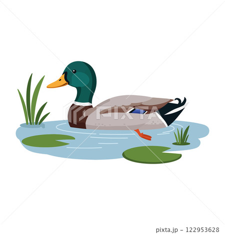 Duck swimming in a pond with flat minimal vector art Duck swimming in a pond with flat minimal vector art 122953628