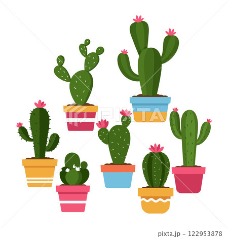 Colorful cactus plants in pots with flat design vector art Colorful cactus plants in pots with flat design vector art 122953878