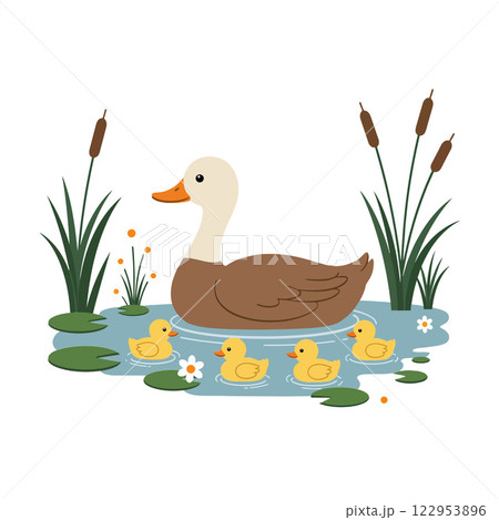 Mother duck swimming with her ducklings in flat vector art Mother duck swimming with her ducklings in flat vector art 122953896
