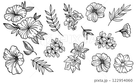 Botanical hand drawn line vintage with flowers and leaves wildflowers.Vector illustration.	 Botanical hand drawn line vintage with flowers and leaves wildflowers.Vector illustration.	 122954060