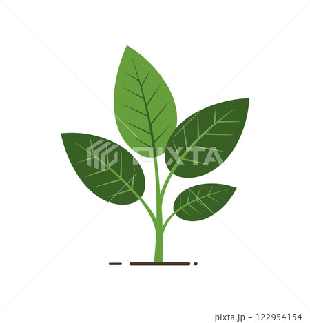 Green plant illustration with vibrant leaves in a flat design style showcasing growth vector art 122954154