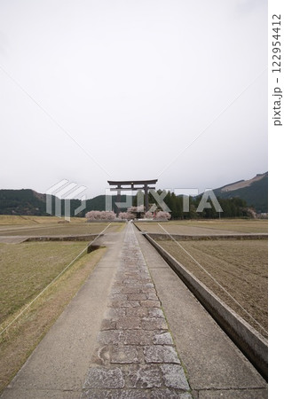 鳥居に向かって伸びる一本の道 122954412