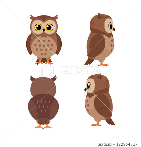 Cute brown owl illustrations in flat design showcasing various angles and expressions in colorful vector art Cute brown owl illustrations in flat design showcasing various angles and expressions in colorful vector art 122954517