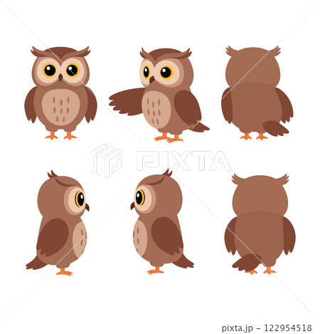 Cute owl character design in flat style showcasing multiple angles and poses in vibrant vector art 122954518