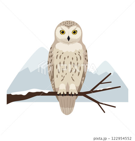 Owl perched on branch with stylized mountains in the background, flat design vector illustration Owl perched on branch with stylized mountains in the background, flat design vector illustration 122954552