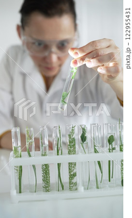 Woman scientist with protective glasses, is holding a test tube with plants inside in laboratory setting, vertical view. Science and medicine Woman scientist with protective glasses, is holding a test tube with plants inside in laboratory setting, vertical view. Science and medicine 122955431