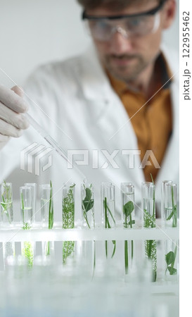 Man scientist wearing a lab coat, white gloves and protective glasses, is dripping liquid from a pipette into a test tube with a green plant inside, vertical close up view. Science and medicine 122955462