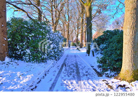 Winter in the city park, snow 122955480