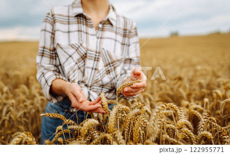 A woman agronomist studies the golden harvest of wheat on an agricultural field. Agriculture. 122955771