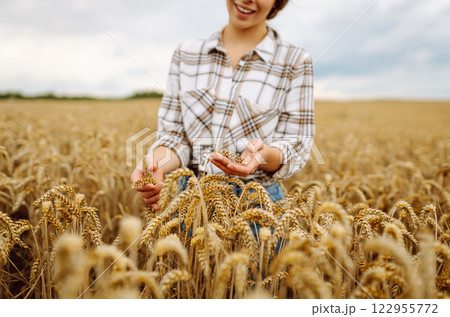A woman agronomist studies the golden harvest of wheat on an agricultural field. Agriculture. 122955772