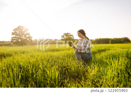 A young woman agronomist checks the growth of the crop. Concept of gardening, ecology. 122955903