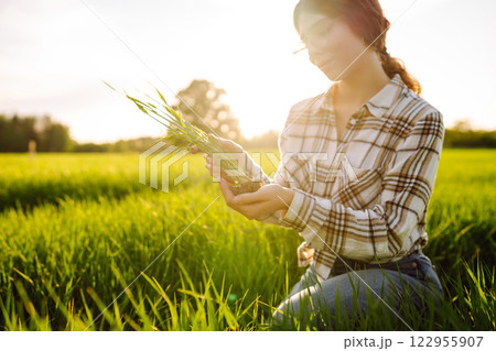 Woman owner of a wheat farm checks quality of wheat through an application on digital tablet. 122955907