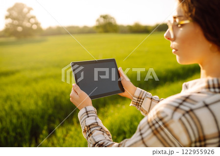 A young woman agronomist checks the growth of the crop. Concept of gardening, ecology. A young woman agronomist checks the growth of the crop. Concept of gardening, ecology. 122955926