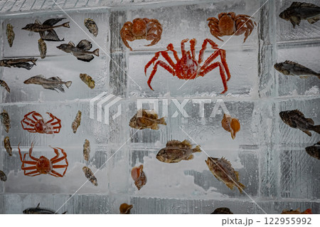 北海道　大通り　雪まつりの風景 122955992