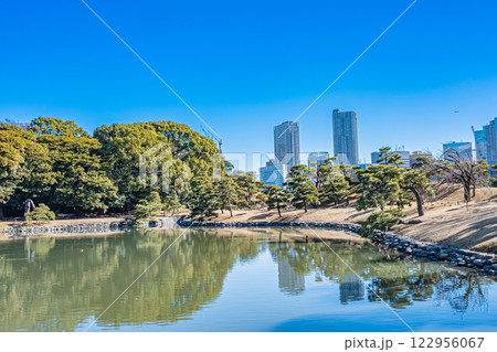 東京 浜離宮恩賜庭園の風景 東京 浜離宮恩賜庭園の風景 122956067