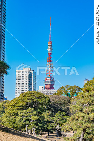 東京 浜離宮恩賜庭園の風景 東京 浜離宮恩賜庭園の風景 122956341