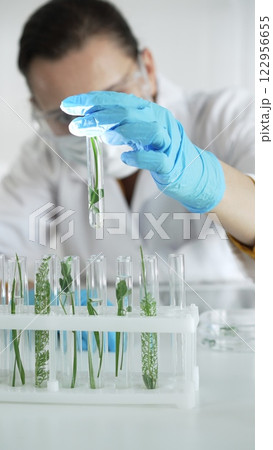 Woman scientist with blue gloves, face mask and protective glasses, is holding a test tube with plants inside in laboratory, vertical portrait view. Science and medicine concept 122956655