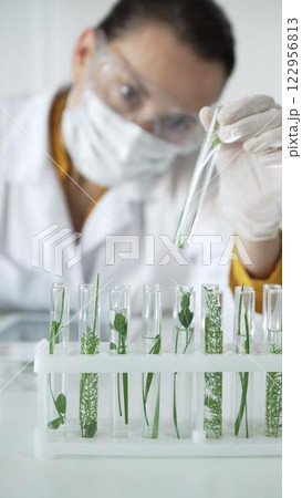 Woman scientist researcher with white gloves, face mask and protective glasses, is holding a test tube with plants inside in laboratory setting, vertical view. Science and medicine concept 122956813