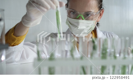 Woman scientist and researcher, wearing a lab coat, green protective gloves and face mask holding a test tube with plants inside, close up. Science concepts Woman scientist and researcher, wearing a lab coat, green protective gloves and face mask holding a test tube with plants inside, close up. Science concepts 122958491