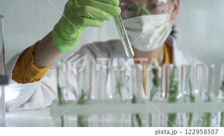 Woman scientist wearing a lab coat, green gloves and mask holding a test tube with plants inside, close up. Science and medicine concepts 122958507