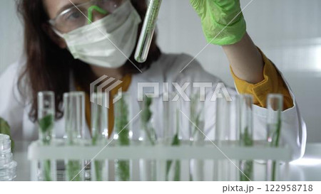 Woman scientist with dark hair wearing a lab coat, green gloves and mask holding a test tube with plants inside, close up. Science and medicine concepts Woman scientist with dark hair wearing a lab coat, green gloves and mask holding a test tube with plants inside, close up. Science and medicine concepts 122958718