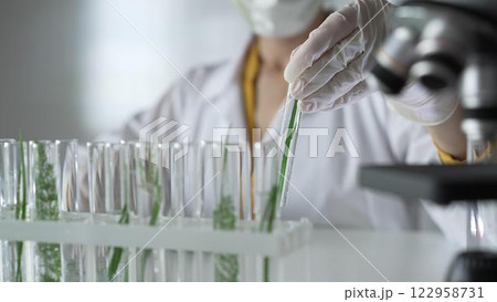Unknown scientist wearing a lab coat, white gloves and protective face mask, is holding a test tube with plants inside, close up. Science and medicine concepts 122958731