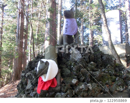 秩父　三峯神社御仮屋の狛犬 122958869