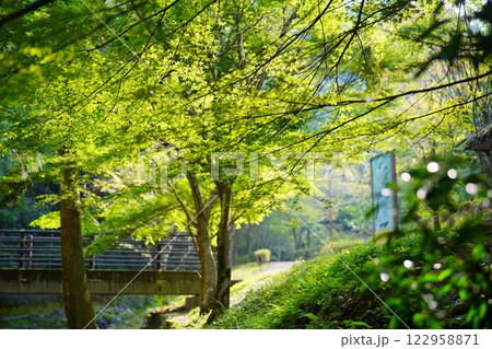 八百津町 新緑の五宝滝公園 八百津町 新緑の五宝滝公園 122958871