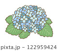 6月に咲く青色の紫陽花のゆるかわイラスト　手描き 122959424