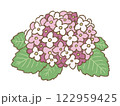 6月に咲く赤色の紫陽花のゆるかわイラスト　手描き 122959425