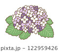 6月に咲く紫の紫陽花のゆるかわイラスト　手描き 122959426