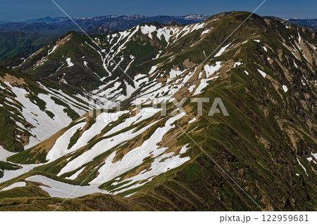 谷川連峰・オジカ沢ノ頭から見る残雪の万太郎山 122959681