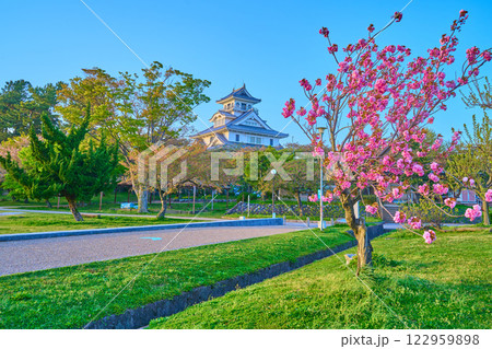 春の滋賀県長浜市の豊公園(ほうこうえん)から模擬天守(長浜城歴史博物館)を見る 122959898