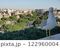 イタリア・ローマの観光地とカメラを見つめる鳥 122960004