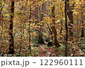 秋のトレッキング 122960111