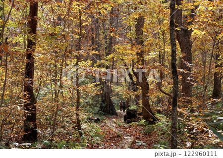 秋のトレッキング 122960111