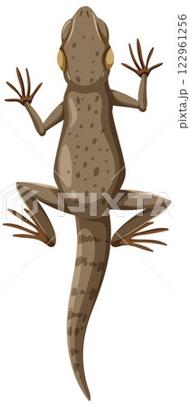 Top View of a Lizard Illustration 122961256