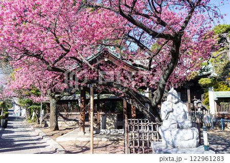 品川 荏原神社 品川 荏原神社 122961283