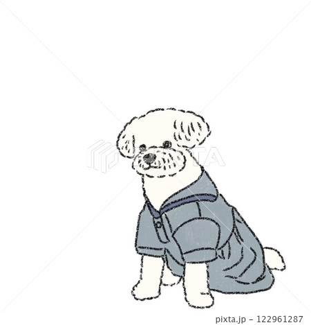 ミックス犬と洋服 ミックス犬と洋服 122961287