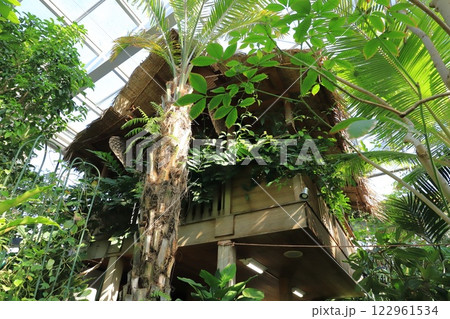 板橋区立熱帯環境植物館　1F 熱帯低地林　 122961534