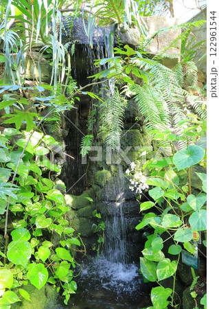 板橋区立熱帯環境植物館　 熱帯低地林にある滝 122961544