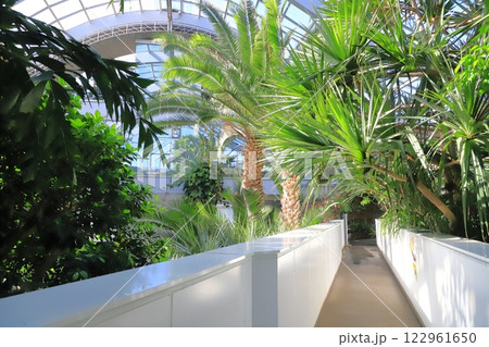 板橋区立熱帯環境植物館　2階 「 雲霧林」 122961650