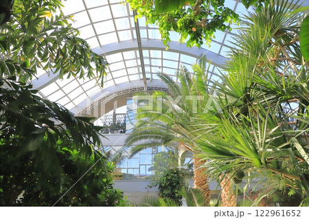 板橋区立熱帯環境植物館　2階 「 雲霧林」 122961652