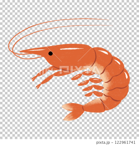 赤いエビのイラスト 122961741