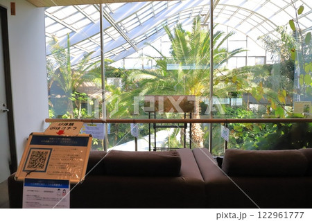 板橋区立熱帯環境植物館　2階 「 雲霧林」 122961777