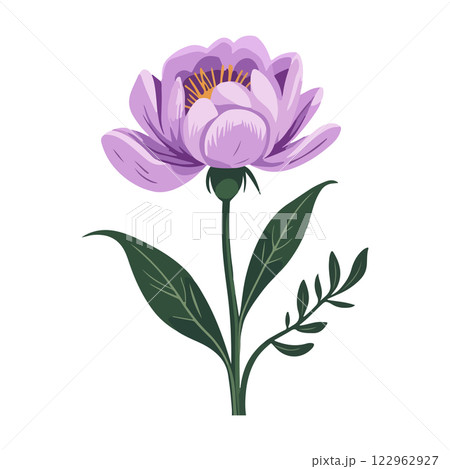 Purple Flower Illustration Purple Flower Illustration 122962927