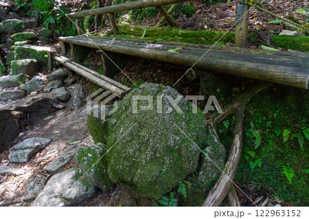 屋久島の白谷雲水峡の苔むす森を宮崎駿がスケッチしていたときに座っていたという岩 122963152
