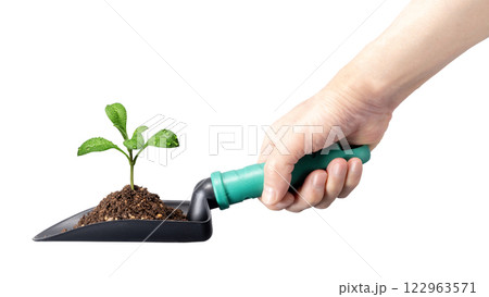 新芽の苗の乗ったシャベルを持つ手。植樹のイメージ 122963571